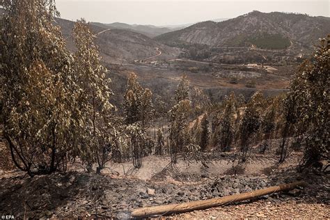 Wildfires in Portugal spread in the Algarve with 1,400。